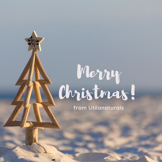 #SustainableChristmas #ConsciousGifts #CareForThePlanet.