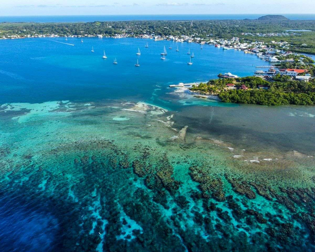 El impacto positivo de la cosmética sólida y natural en nuestro planeta