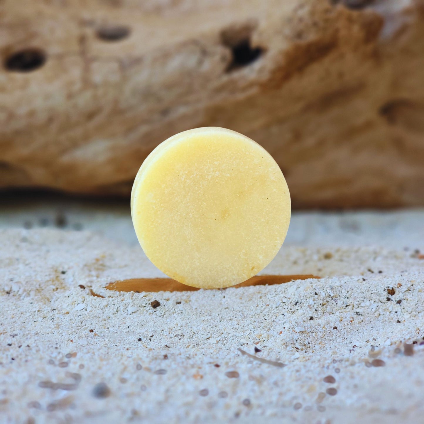COCONUT BREZZE – Acondicionador Sólido de coco y aloe vera