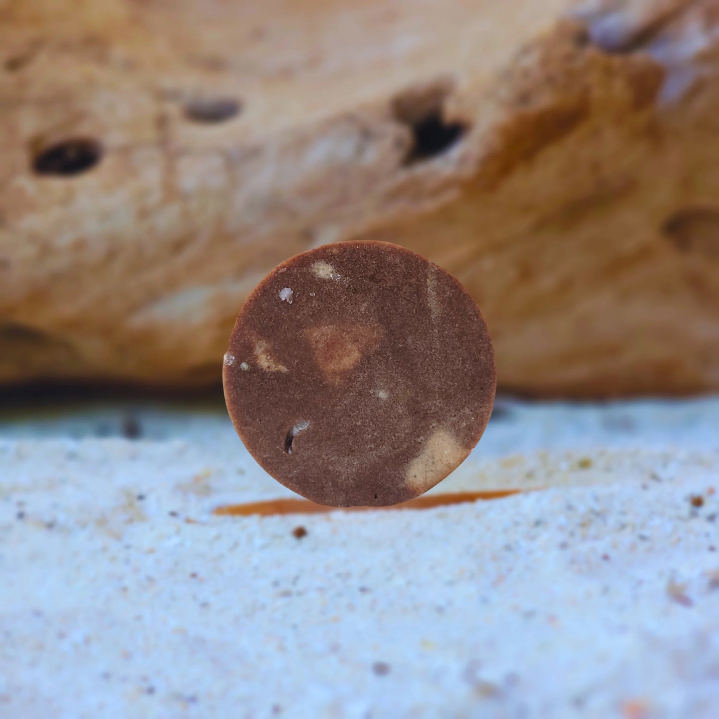 CACAO RITUAL – Acondicionador Sólido