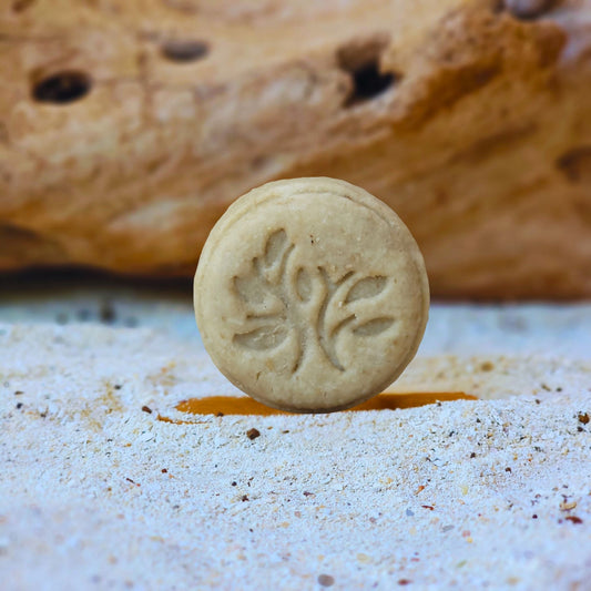 COCONUT BREEZE 
Shampoo sólido hidratante de coco y aloe vera