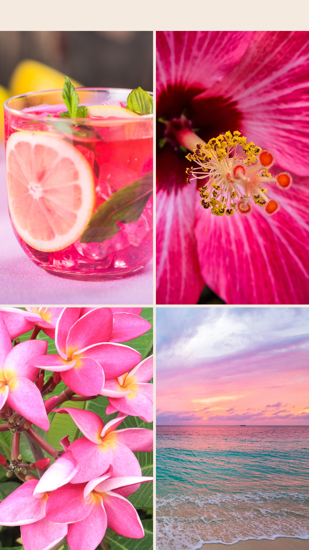 🌺 Wild Hibiscus – Kit corporal floral